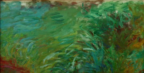 Aquatic Herbs