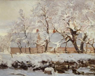 The Magpie