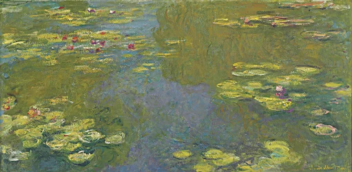 The Water Lily Pond