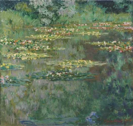 The Water Lily Pond
