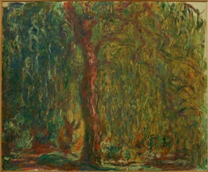 The Weeping Willow