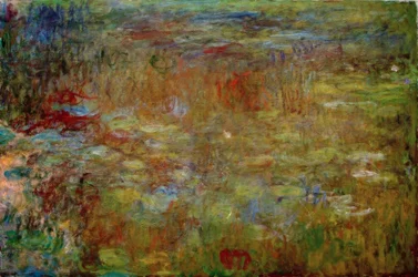 The Water Lily Pond