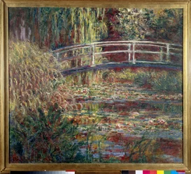 Waterlilies Pool, Pink Harmony