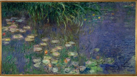 Water Lilies