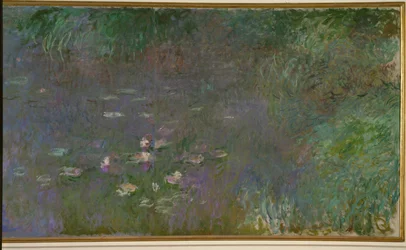 Water Lilies: Morning