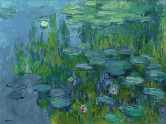 Water Lilies
