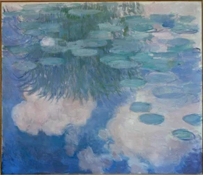 Water Lilies