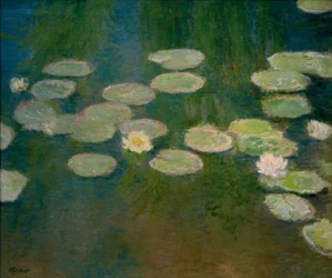 Water Lilies