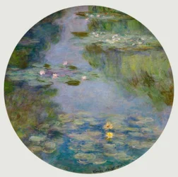 Water Lilies