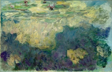 Water Lilies