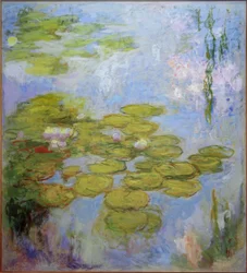 Water Lilies