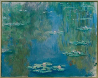 Water Lilies