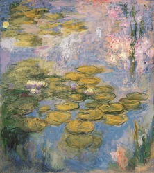 Water Lilies