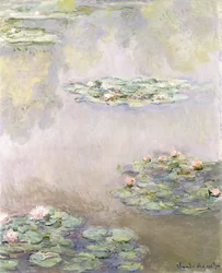 Water Lilies