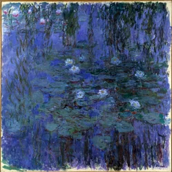 Blue Water Lilies