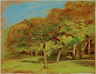 Fruit Trees