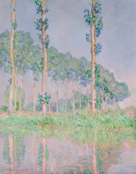 Poplars, Pink Effect