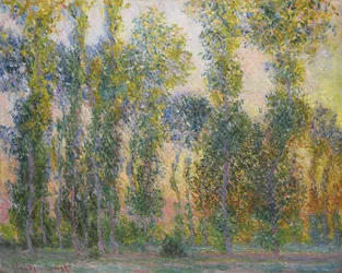 Poplars at Giverny