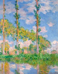 Poplars in the Sun