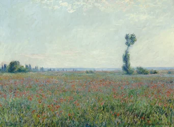 Poppy Field, 1881