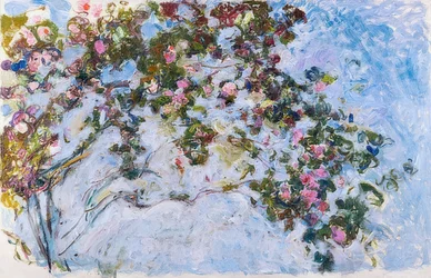 Roses. 1925-26