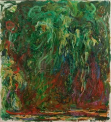 Weeping Willow