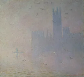 Seagulls over the Houses of Parliament
