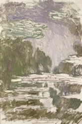 Study for the Waterlilies, 1907