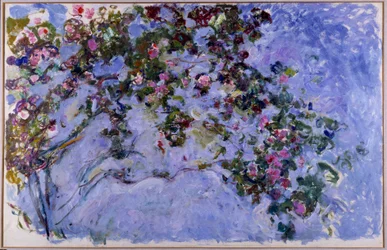 The Roses