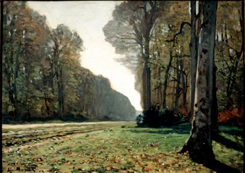 The pavement of Chailly (Fontainebleau), c.1865