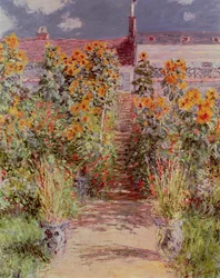 Unknown Image