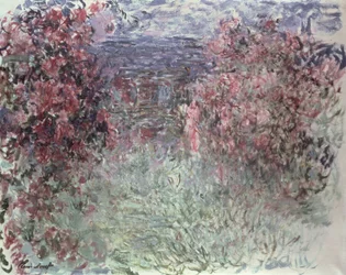 Unknown Image