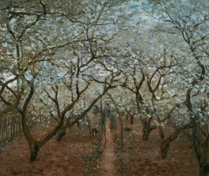 Orchard in Bloom, Vétheuil