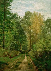 Forest Path