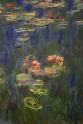 Water Lilies