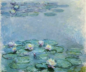 Water Lilies