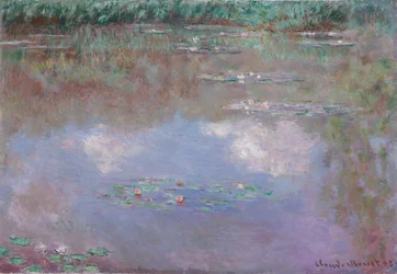 Water Lilies, the Cloud