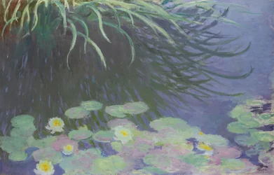 Water Lilies with Reflections of Tall Grass