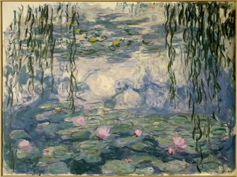 Waterlilies
