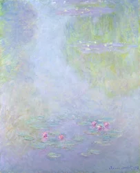 Waterlilies