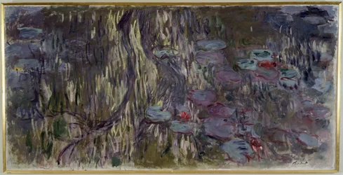 Waterlilies