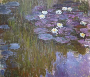 Waterlilies