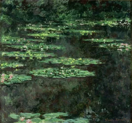 Waterlilies