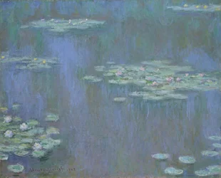 Waterlilies