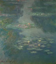 Waterlilies