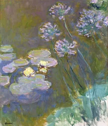 Waterlilies and Agapanthus