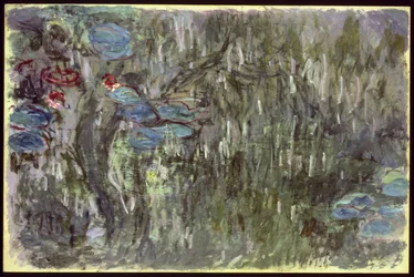Waterlilies with Reflections of Willows