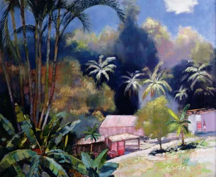 Tropical Forest, Martinique