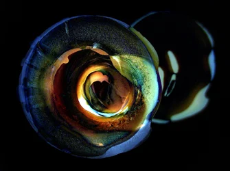 Iridescent Glass Orbs