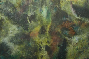 Organic Earthy Textures